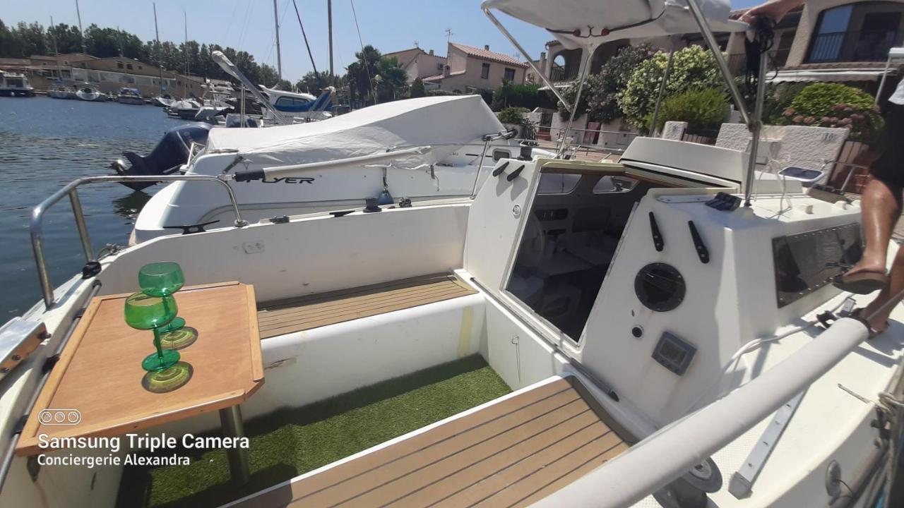 Nuit Insolite A Bord De L'Enata Un Voilier A Quai Sur La Marina De St Cyprien Saint-Cyprien  Eksteriør billede