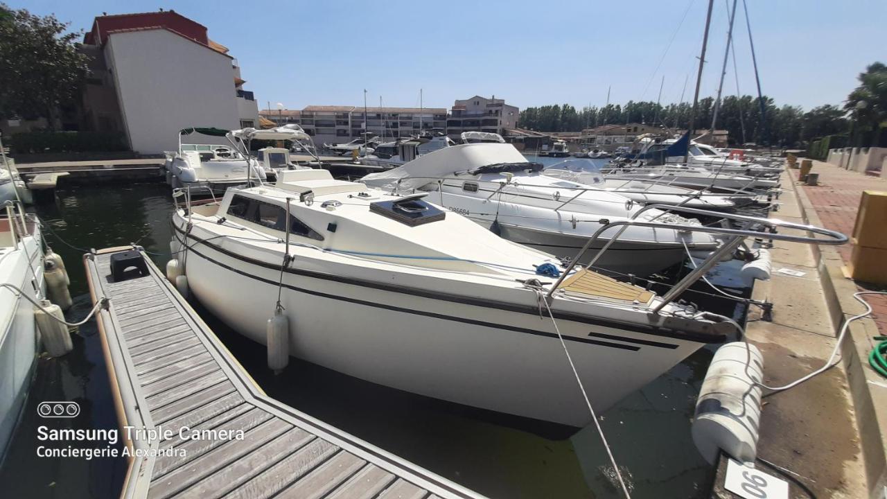 Nuit Insolite A Bord De L'Enata Un Voilier A Quai Sur La Marina De St Cyprien Saint-Cyprien  Eksteriør billede