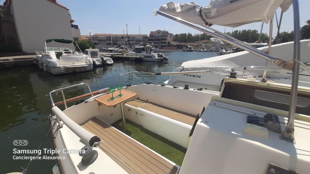 Nuit Insolite A Bord De L'Enata Un Voilier A Quai Sur La Marina De St Cyprien Saint-Cyprien  Eksteriør billede