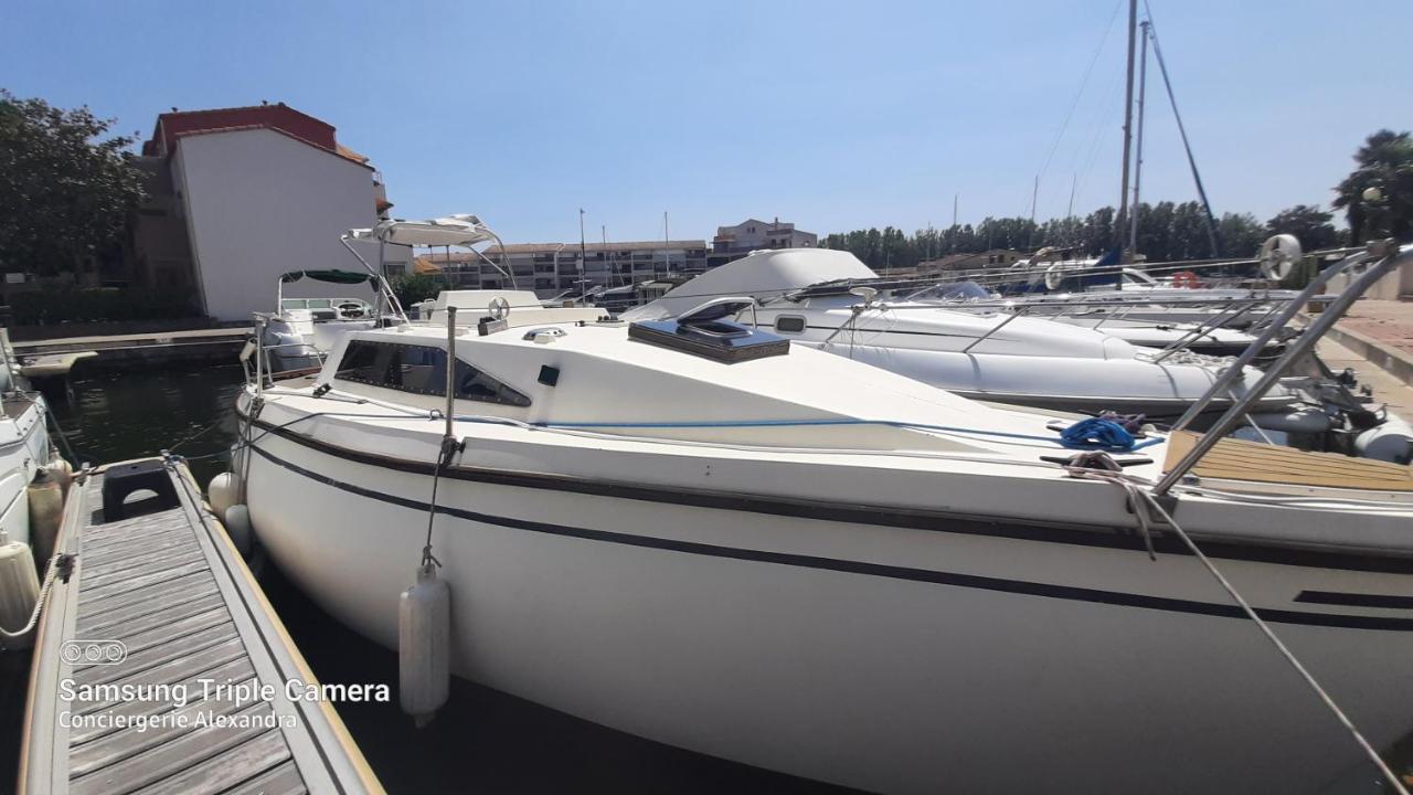 Nuit Insolite A Bord De L'Enata Un Voilier A Quai Sur La Marina De St Cyprien Saint-Cyprien  Eksteriør billede